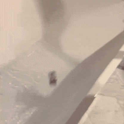 (BONUS) Light Up Bath Toys (6 Pack)